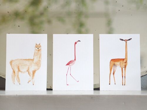 Dieren Postkaarten (per set van 6 verschillende dieren)