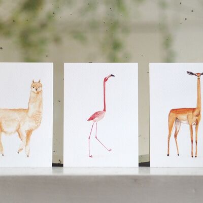 Dieren Postkaarten (par set de 6 verschillende dieren)