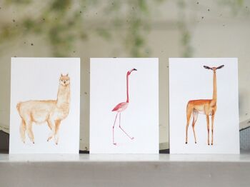 Dieren Postkaarten (par set de 6 verschillende dieren) 1
