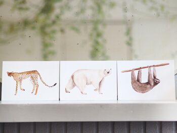 Dieren Postkaarten (par set de 6 verschillende dieren) 2