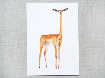 Dieren Postkaarten (par set de 6 verschillende dieren) 7