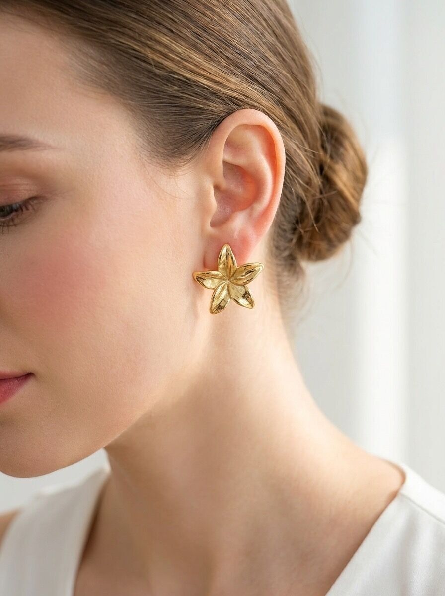 Ohrringe aus Edelstahl 124AQ270N