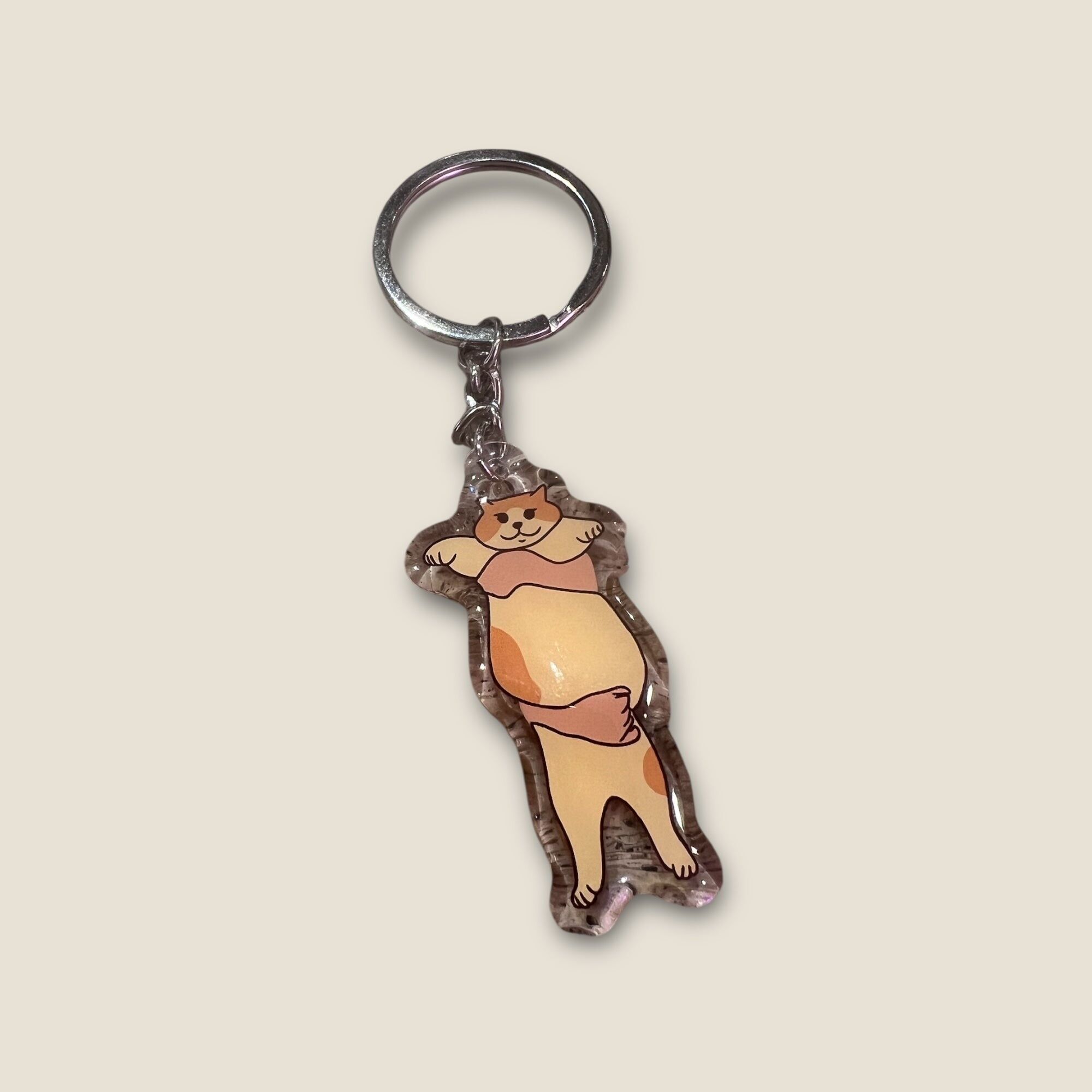 Cat Key Chain - Put me down pls