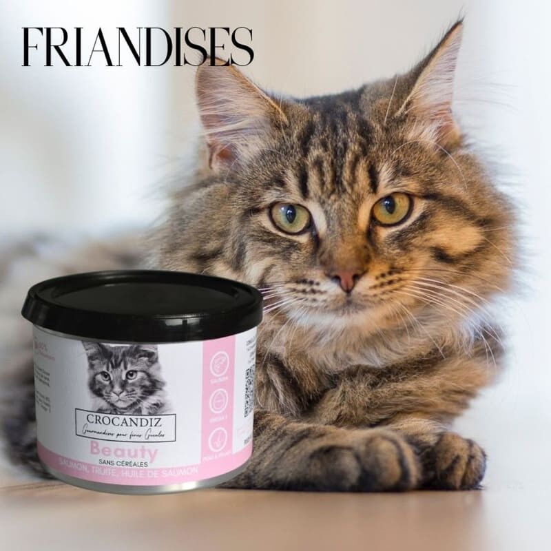 Cat Treats - Beauty Recipe