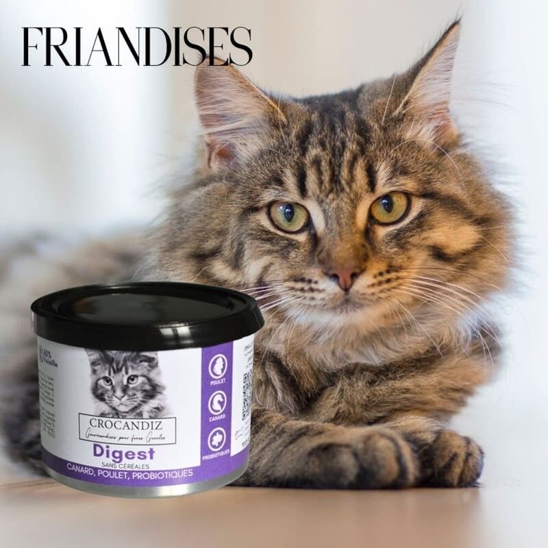 Cat Treats - Digestion Recipe