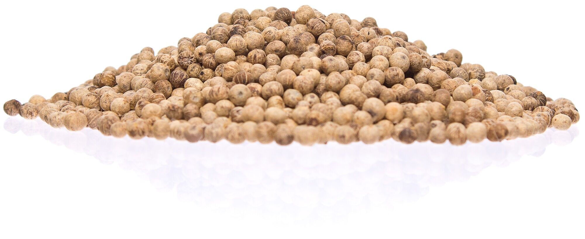 Organic Kampot White Pepper PGI 4kg - VPBK004