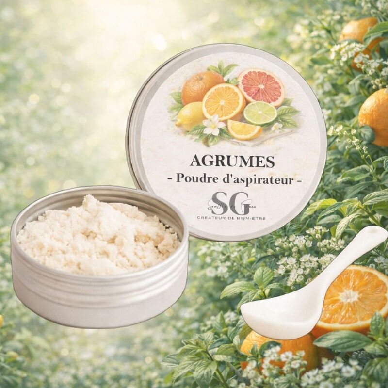 Fresh & Aromatic Vacuum Cleaner Powder – Vacuum Cleaner Deodorizer with a Purifying Air Effect