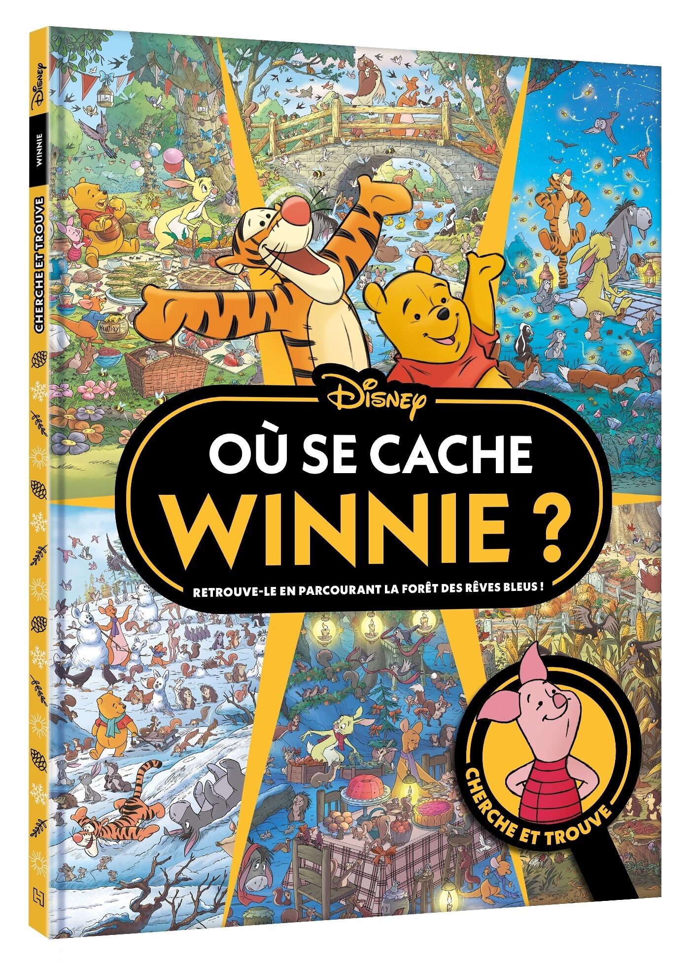 WINNIE THE POOH - Where is Winnie hiding?Search and Find - Disney