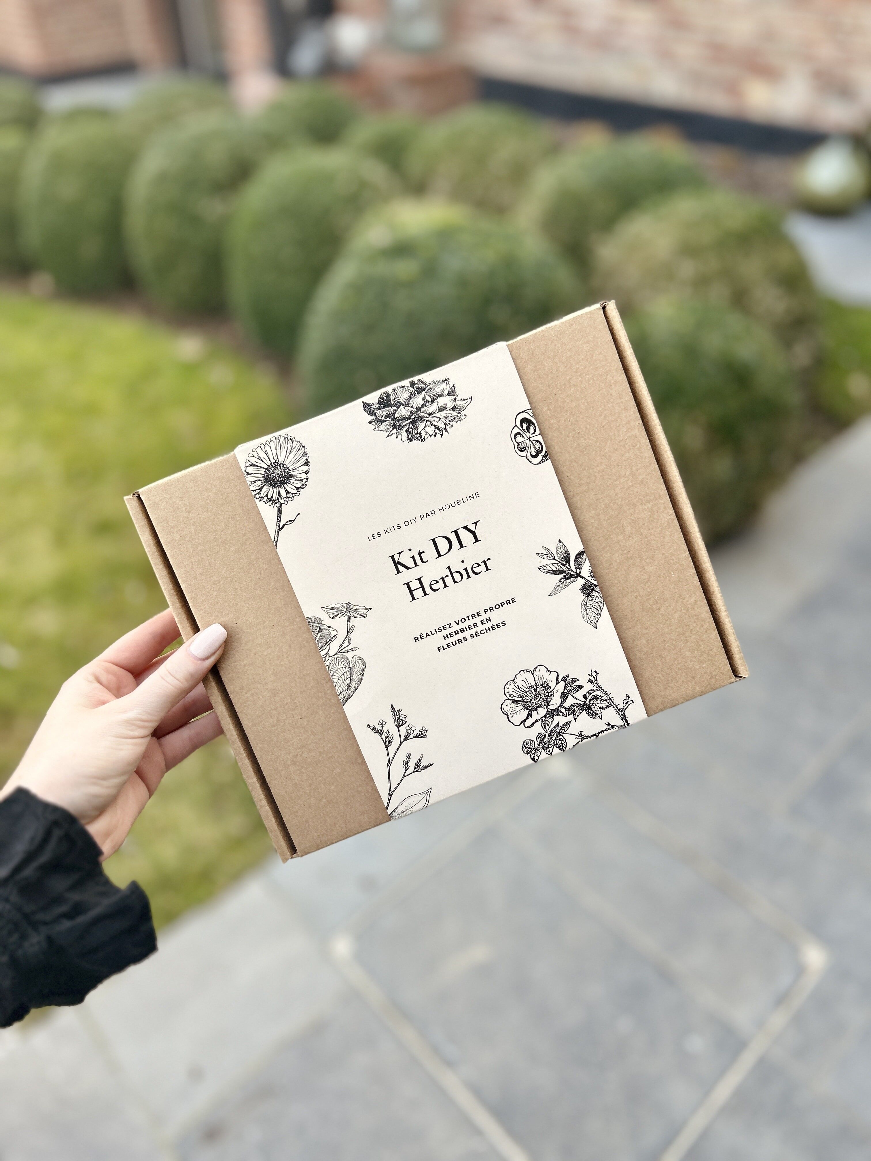 Kit Erbario Fiori Secchi