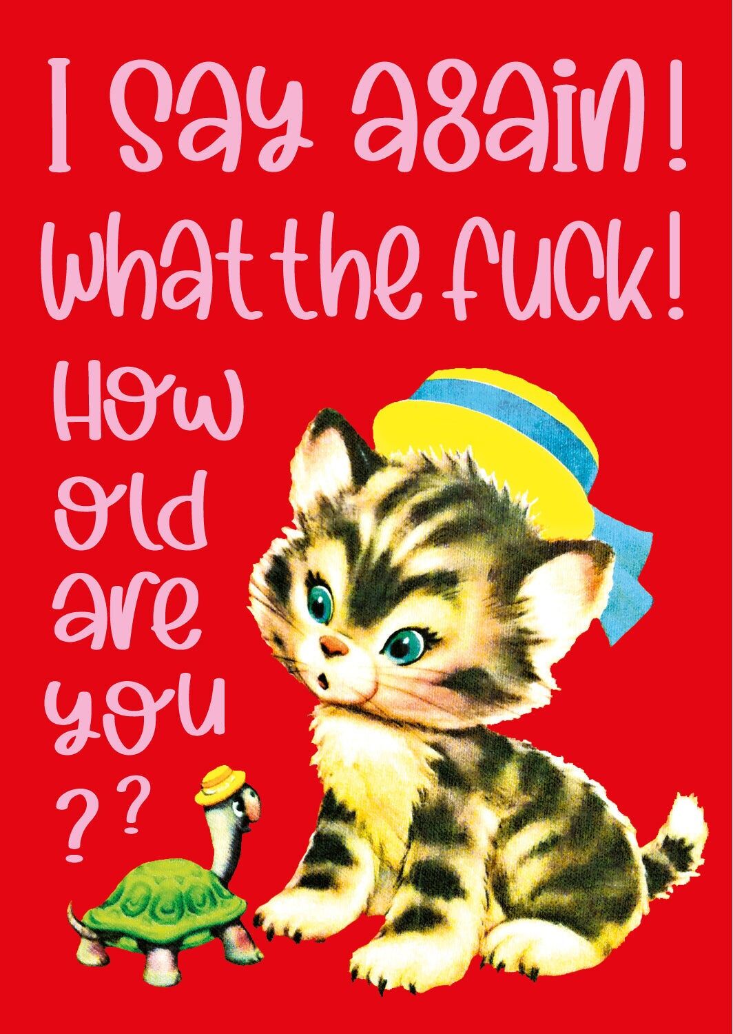 WTF How old? Birthday card cat and turtle