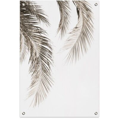 Dried Palm Leaf 2 Tuinposter (60x90cm)