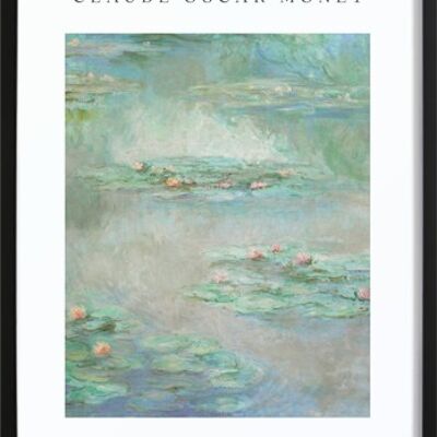 Póster Monet Waterlillies