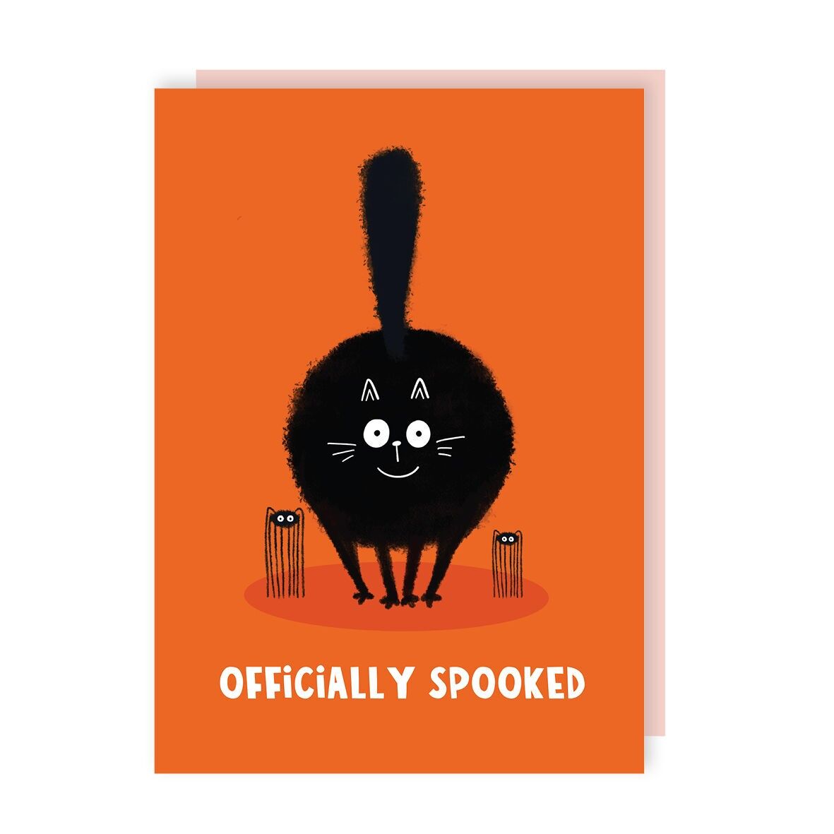 Officially Spooked Cat Halloween Card Pack of 6