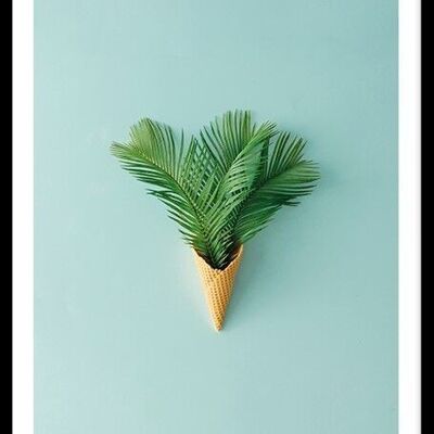 Palmtreecone_2