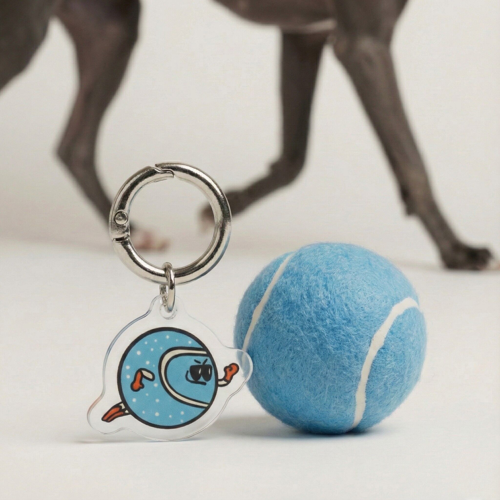 Il ciondolo per cani da riporto