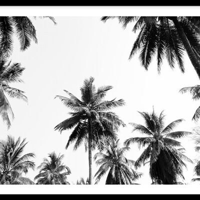 Underneath the palm trees