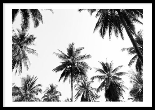 Underneath the palm trees