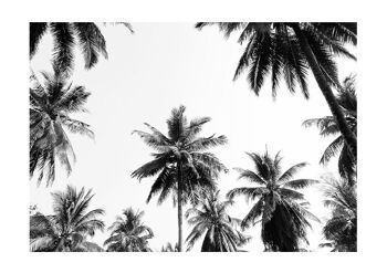 Sous les palmiers 2