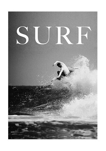 surfeur 2