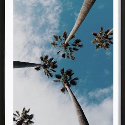 Palmiers dans le ciel Poster