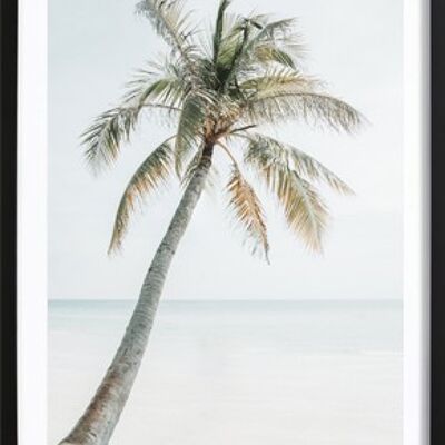 Affiche de vacances de palmier