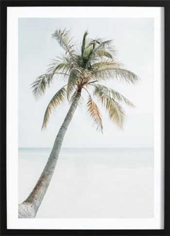Affiche de vacances de palmier 1