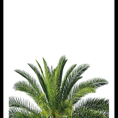 Haut de palmier
