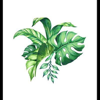 Tropical Leaves