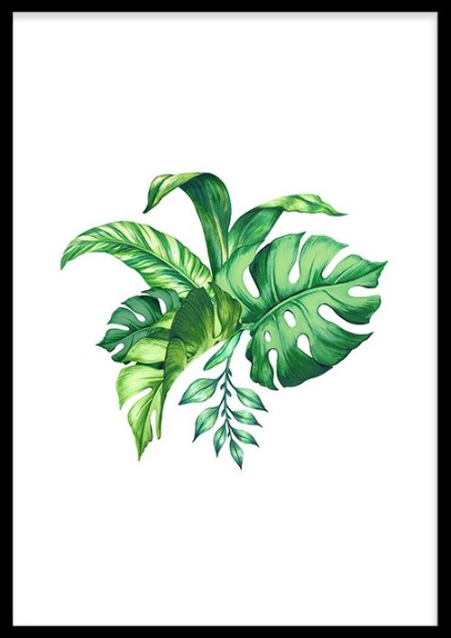 Tropical Leaves