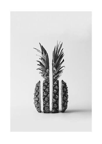 tranches d'ananas 2