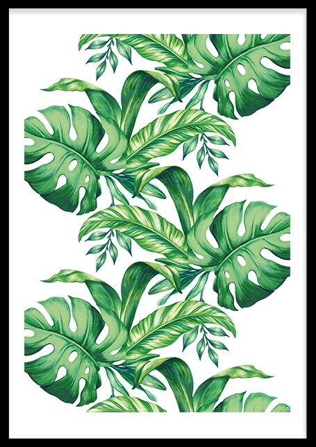 Buy wholesale Tropical Leaves 2