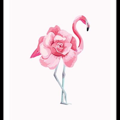 flamingo rose