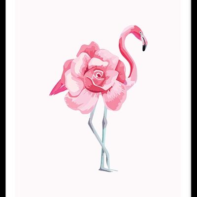 flamant rose