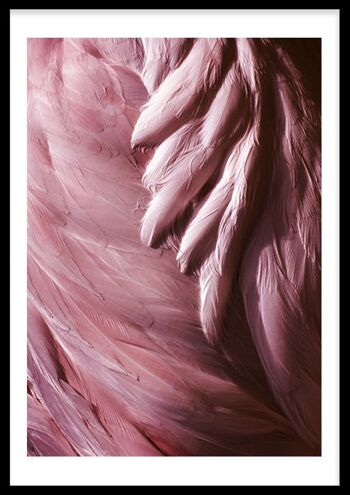 Plumes de flamant rose 1