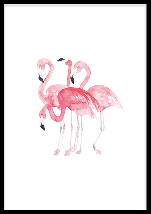 Flamingo's