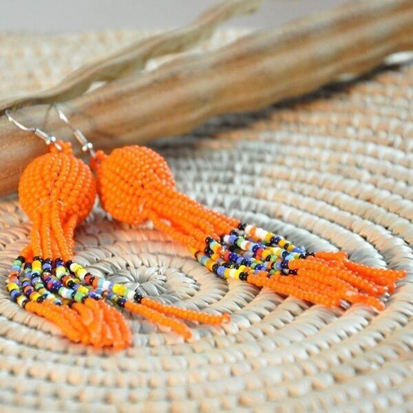Earrings BS6