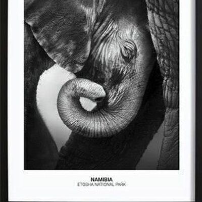 Baby Elephant Poster_3