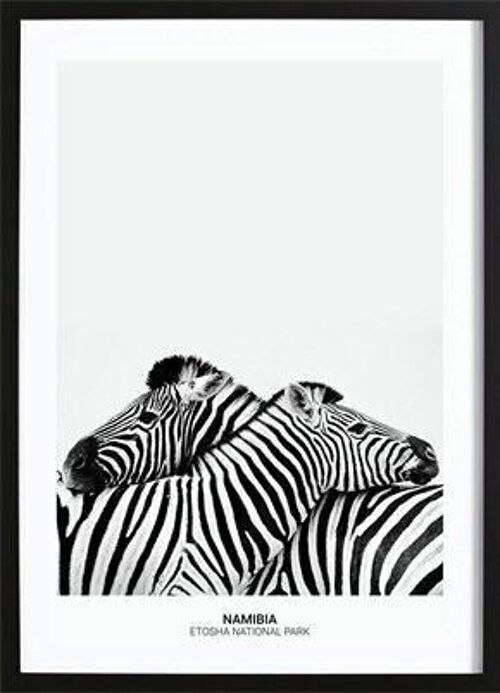 Zebra Hug Poster_2