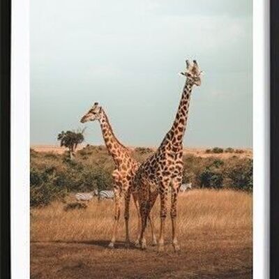 Affiche Girafe_1