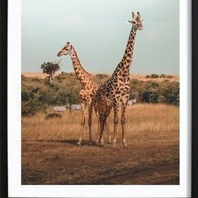 Giraffe Poster_1