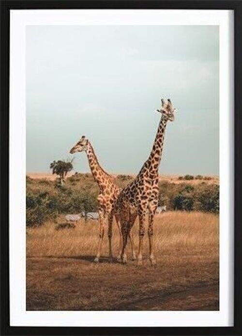 Giraffe Poster_2