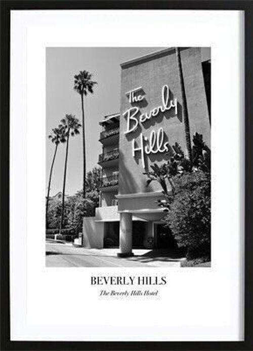 Beverly Hills Hotel Poster_1