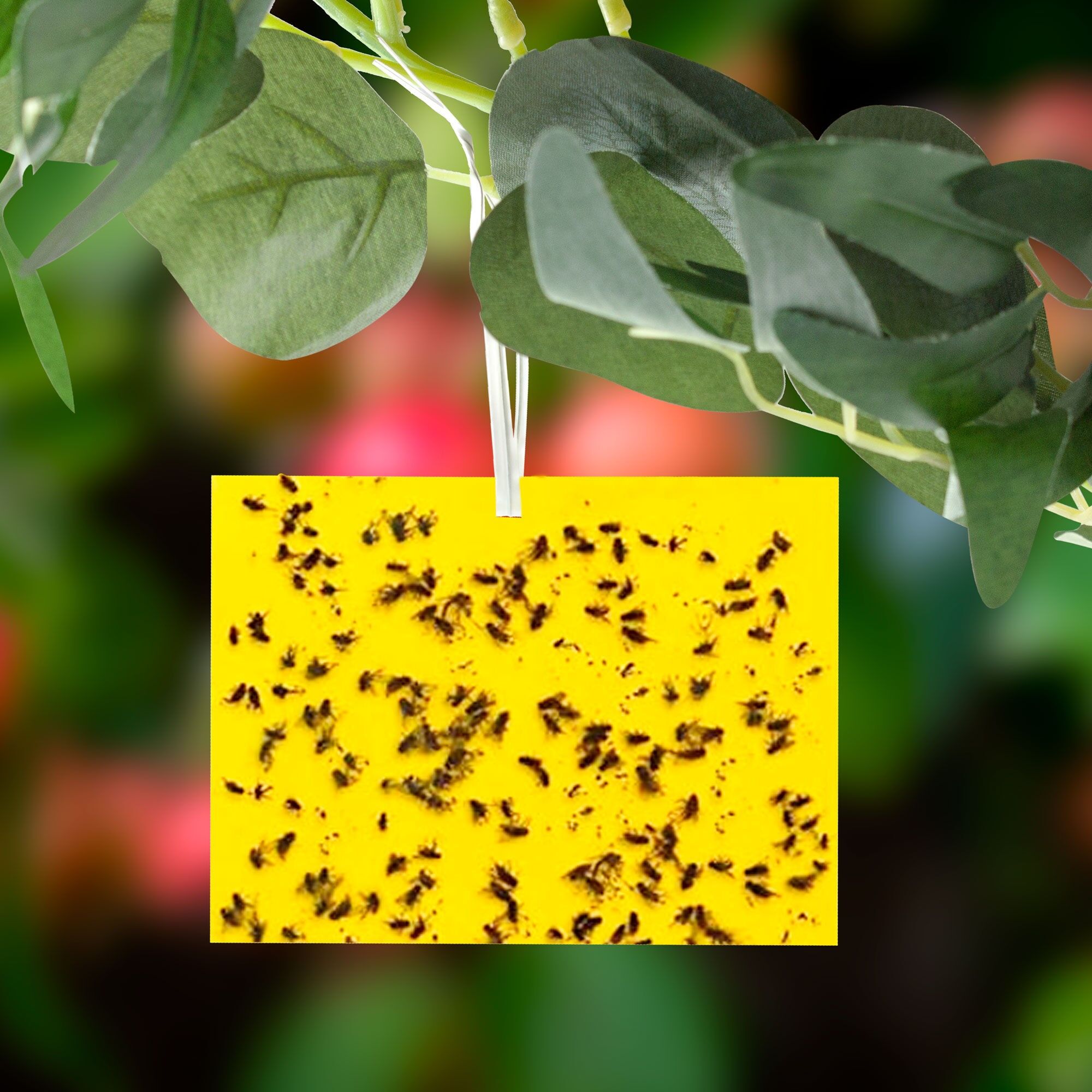 Sticka Bug Rectangular Double-Sided Fly Traps 40pk
