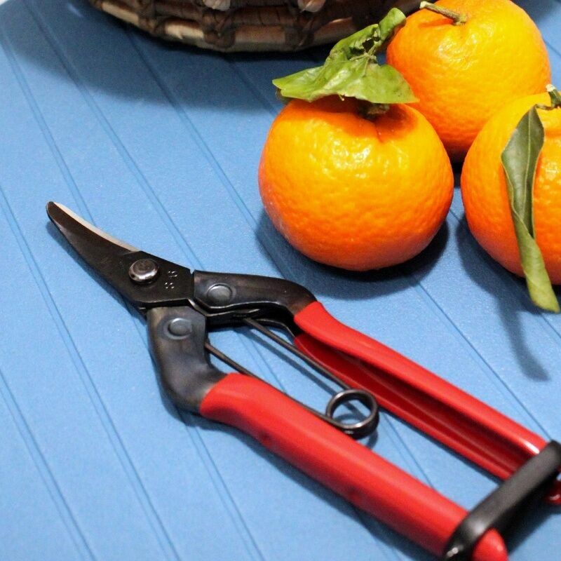 Professional Japanese Scissors with Long Curved Blade 180mm – Made in Japan