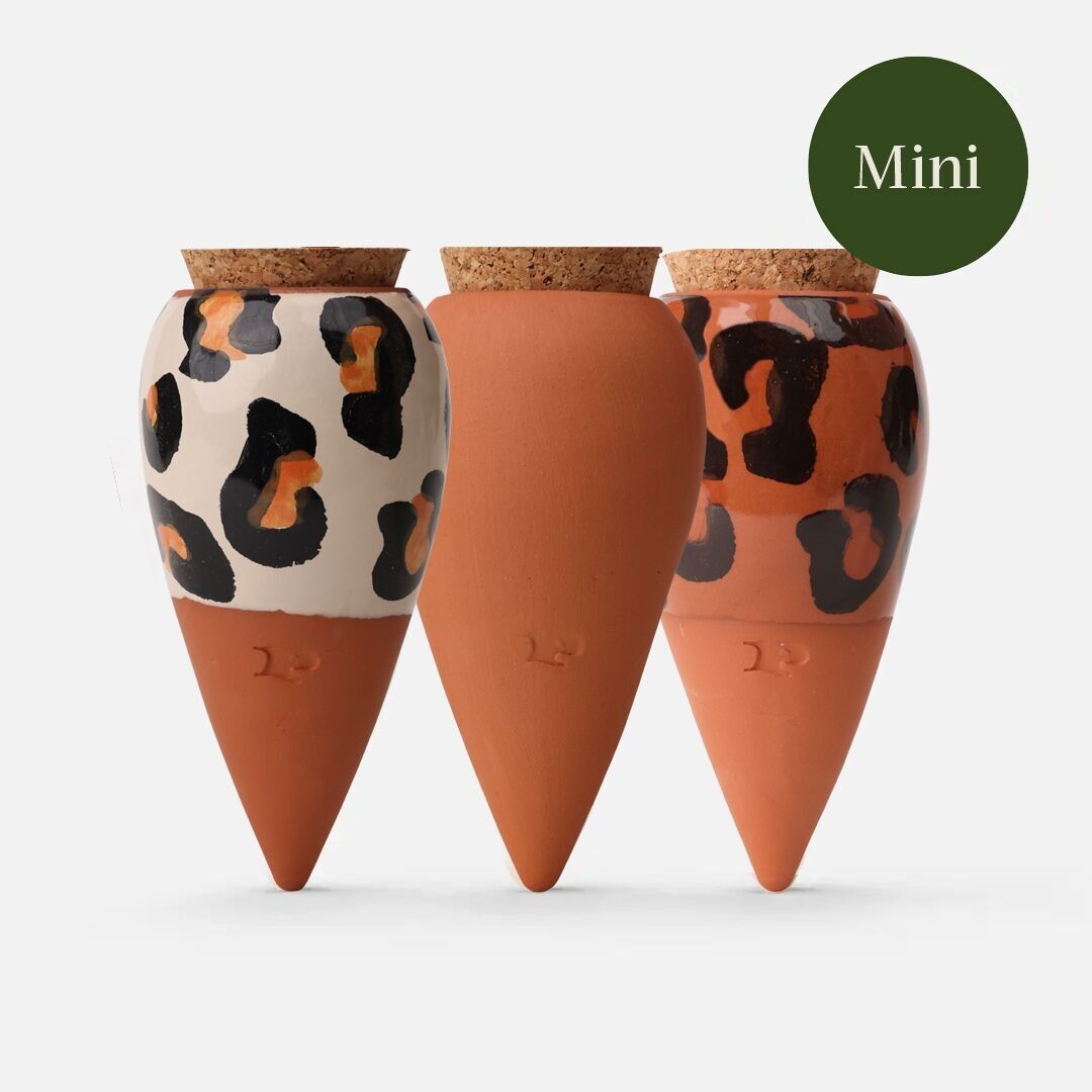 Mini Ollas Trio Box - Leoparden
