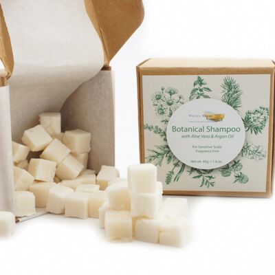 Cubes de shampooing botanique à l'aloe vera et à l'huile d'argan - pour cuir chevelu sensible sans parfum, 40 g