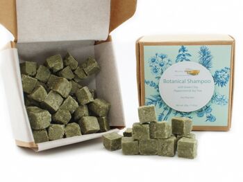 Cubes de shampooing botanique à l'argile verte et à la menthe poivrée - pour cheveux gras, 40 g 1