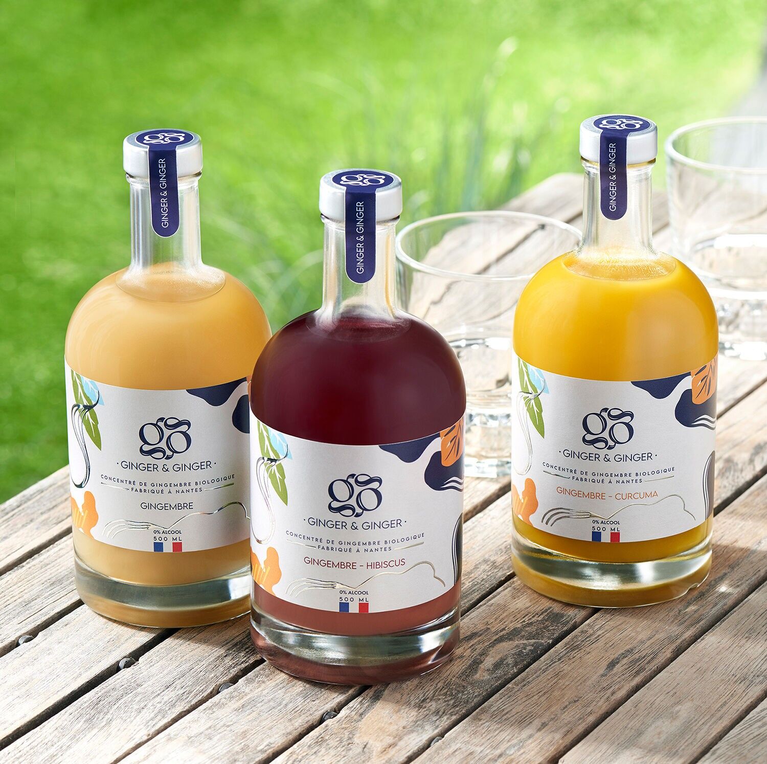 Reserved for new retailers (contact us) Ginger & Ginger Discovery Pack 3 flavors (based on organic ginger juice) – 6 bottles (2 Ginger, 2 Ginger-Hibiscus, 2 Ginger-Turmeric)