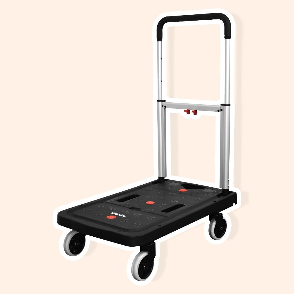 Carro plegable 137 kg