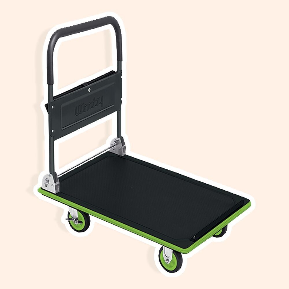 Carro profesional 150 kg